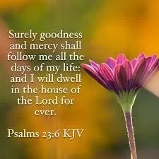 Surely goodness and mercy shall follow me all the day of my life: and I will dwell in the house of the Lord for ever. Psalms 23:6 KJV